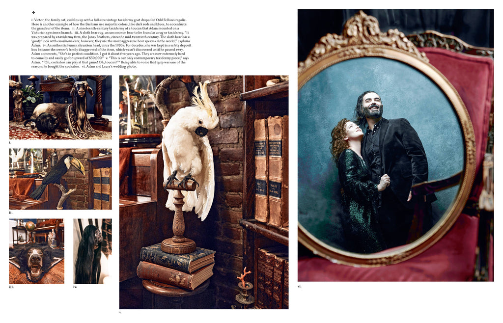 The Art of Gothic Living: Dark Decor for the Modern Macabre: Hardcover