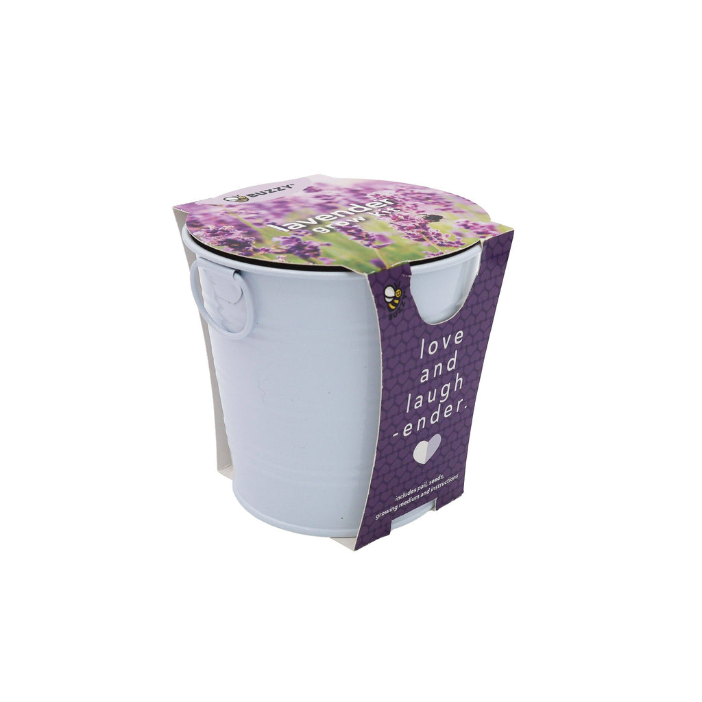 The Lavender Experience Box