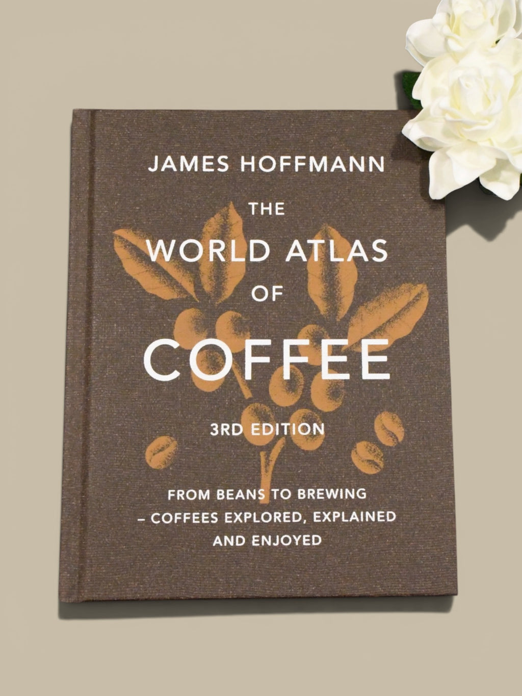 The Coffee Experience Box