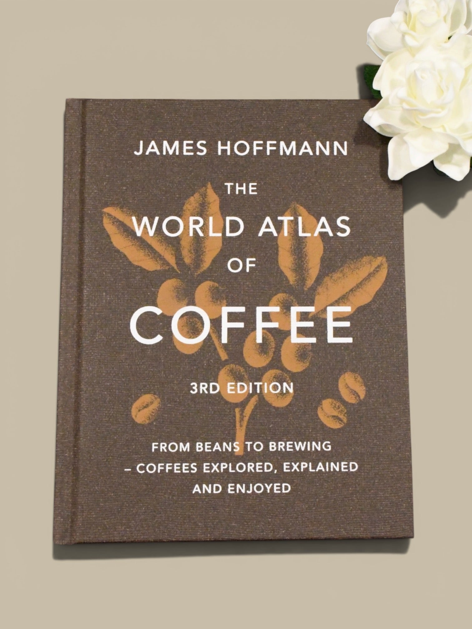 The Coffee Experience Box