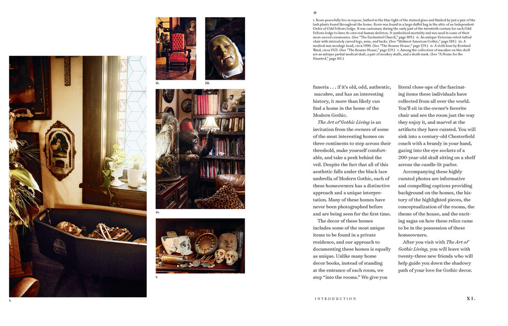The Art of Gothic Living: Dark Decor for the Modern Macabre: Hardcover
