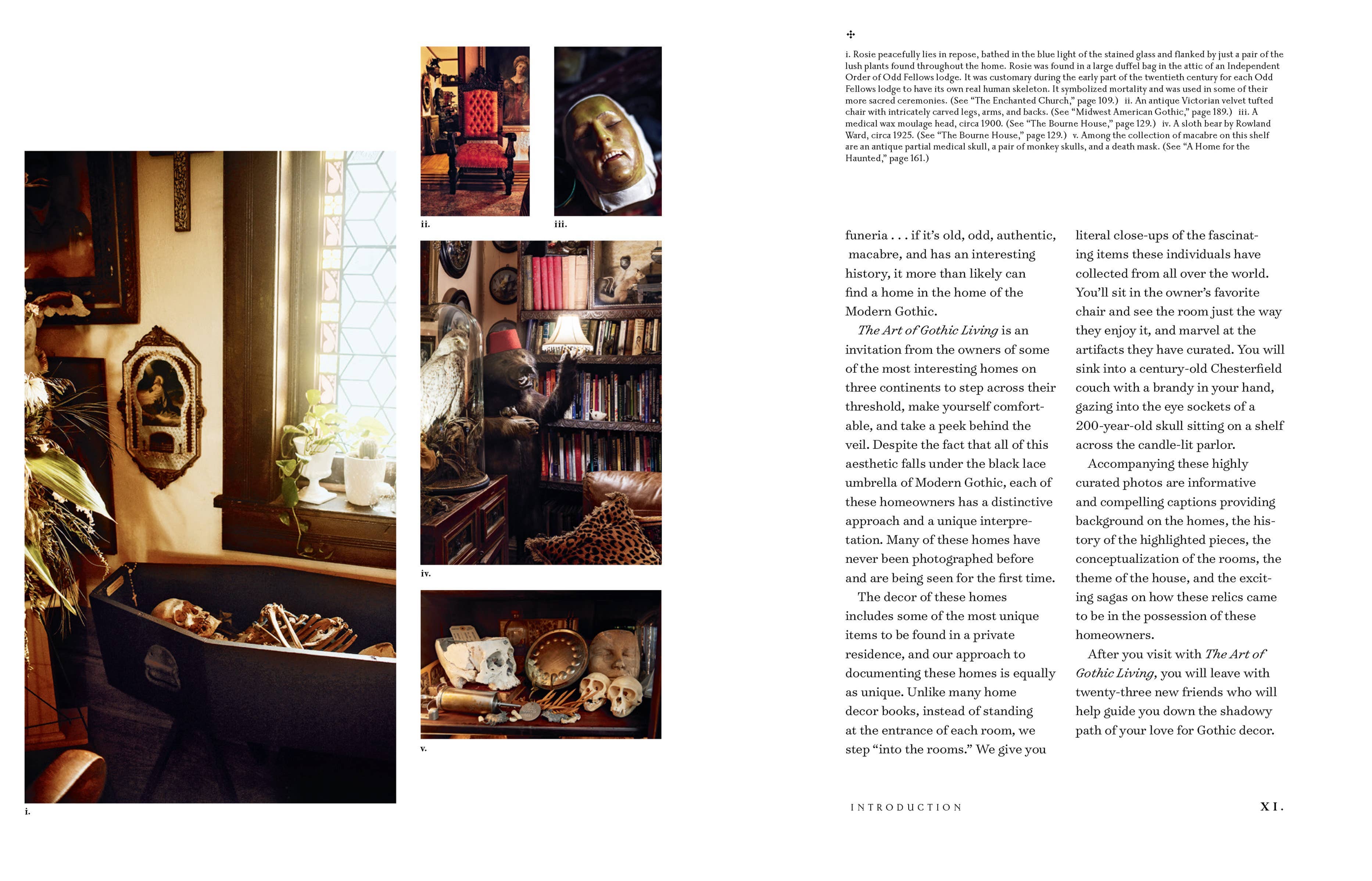 The Art of Gothic Living: Dark Decor for the Modern Macabre: Hardcover