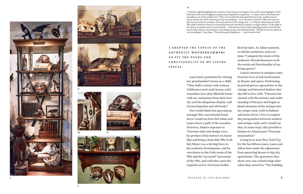 The Art of Gothic Living: Dark Decor for the Modern Macabre: Hardcover